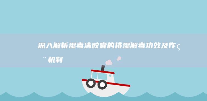 深入解析：湿毒清胶囊的排湿解毒功效及作用机制